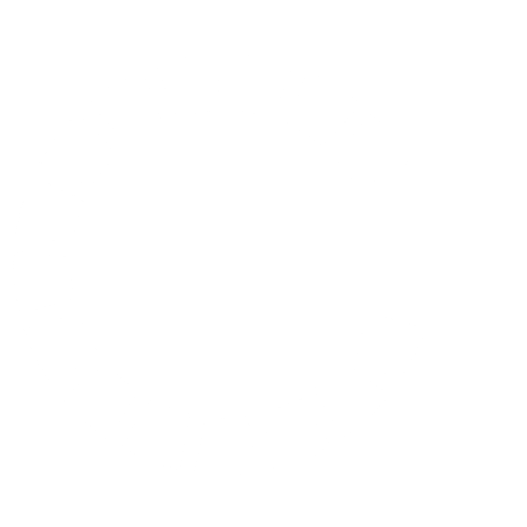 Young AI Leaders — white mark